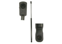 Gas spring, trunk