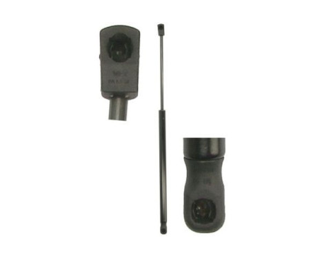 Gas spring, trunk