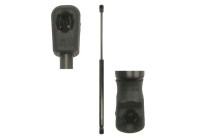 Gas spring, trunk
