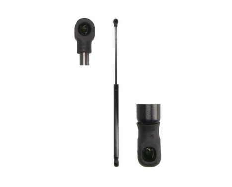 Gas spring, trunk