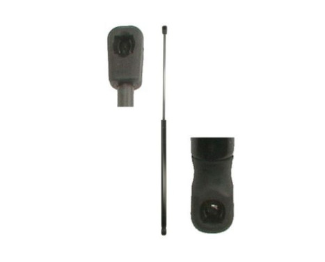 Gas spring, trunk