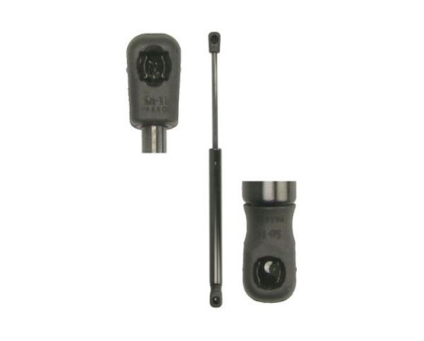 Gas spring, trunk