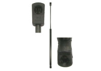 Gas spring, trunk