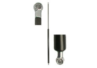 Gas spring, trunk