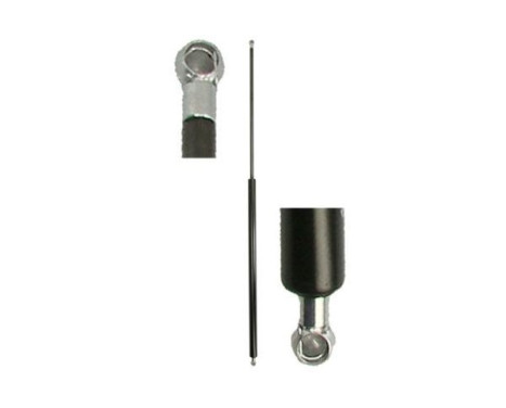 Gas spring, trunk