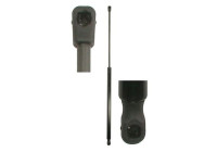 Gas spring, trunk