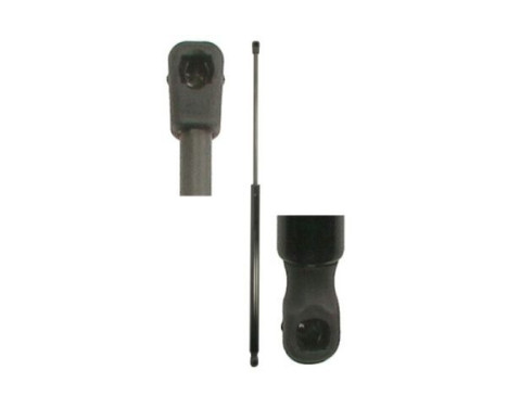 Gas spring, trunk