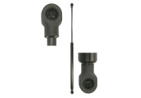 Gas spring, trunk