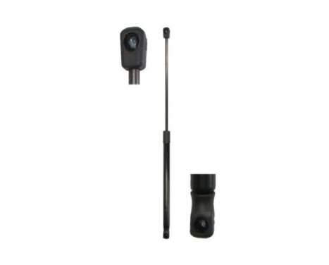 Gas spring, trunk