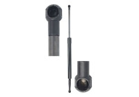Gas spring, trunk