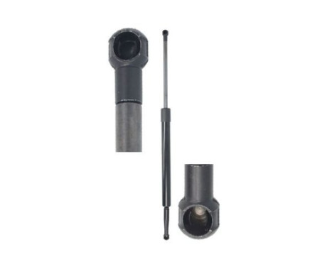 Gas spring, trunk