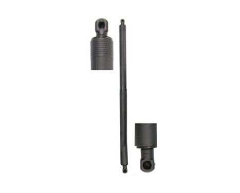 Gas spring, trunk