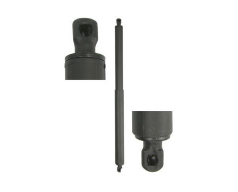 Gas spring, trunk