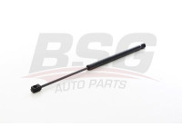 Gas spring, trunk