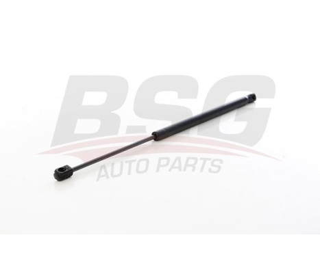 Gas spring, trunk