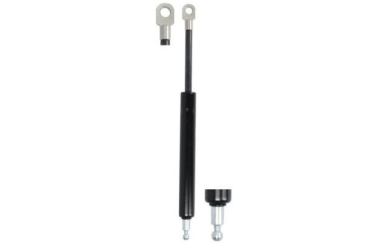 Gas spring