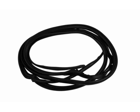 door seal