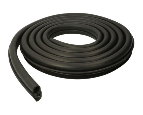 Door seal