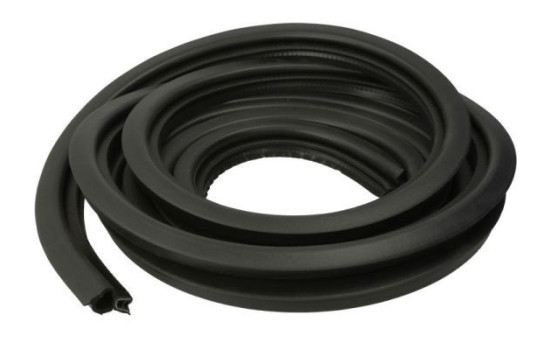 Door seal