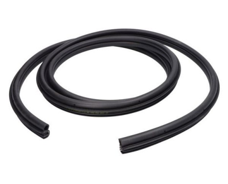Door seal