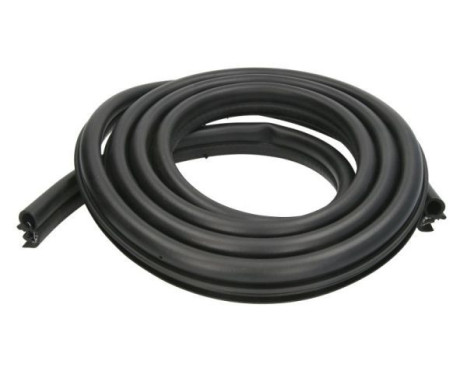 Door seal