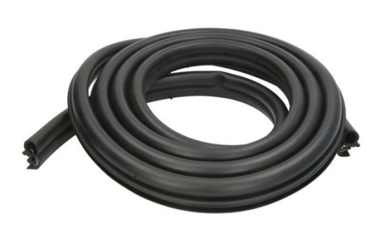 Door seal