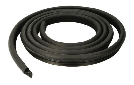 Door seal