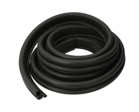 Door seal