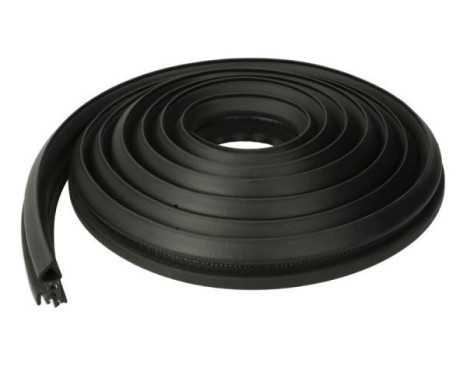 Door seal