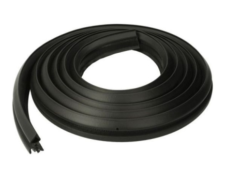 Door seal