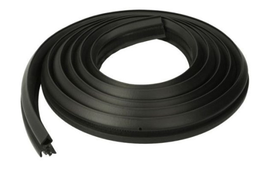 Door seal