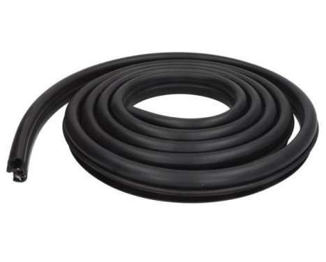Door seal