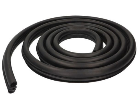 Door seal