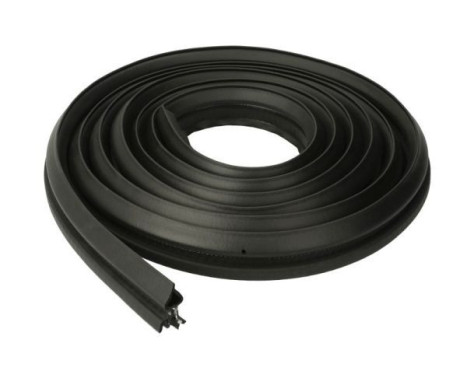 Door seal