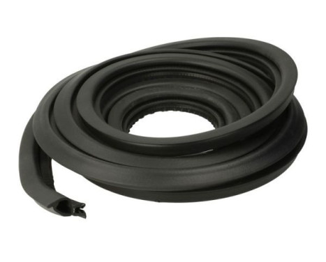 Door seal