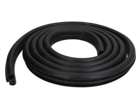Door seal