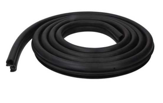 Door seal
