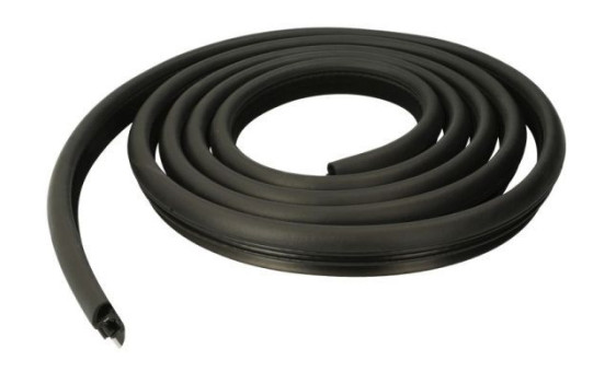 Door seal