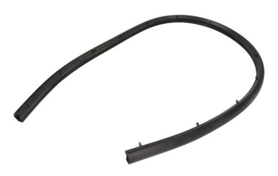 Door seal