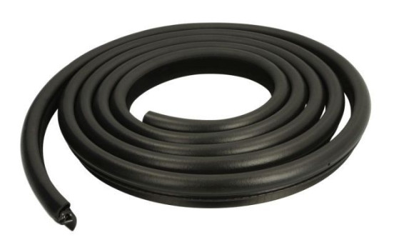 Door seal