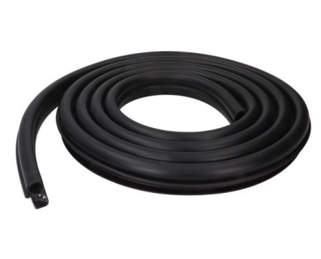 Door seal
