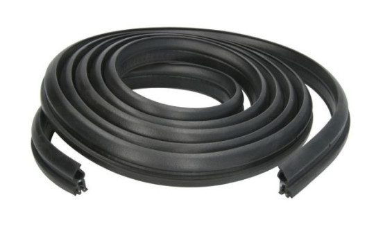 Door seal