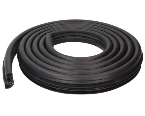 Door seal