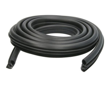 Door seal