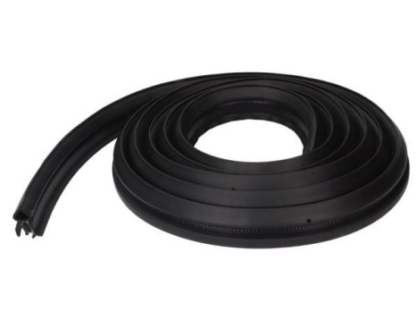 Door seal