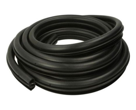 Door seal