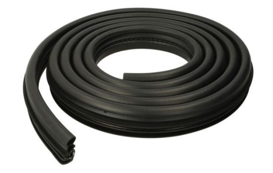 Door seal