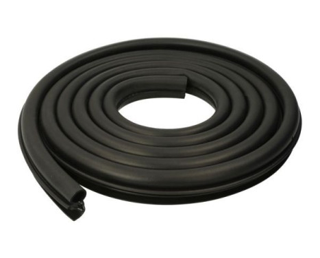 Door seal