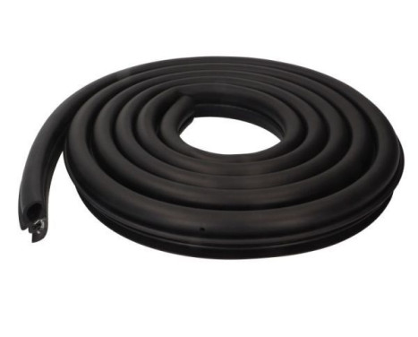 Door seal