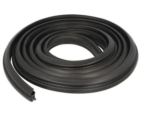 Door seal